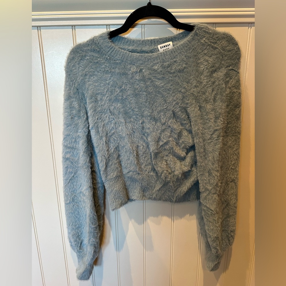 ARITZIA SUNDAY BEST Ladies Women’s Size Small Grey Crew Neck Fuzzy Pile … - Picture 1 of 3